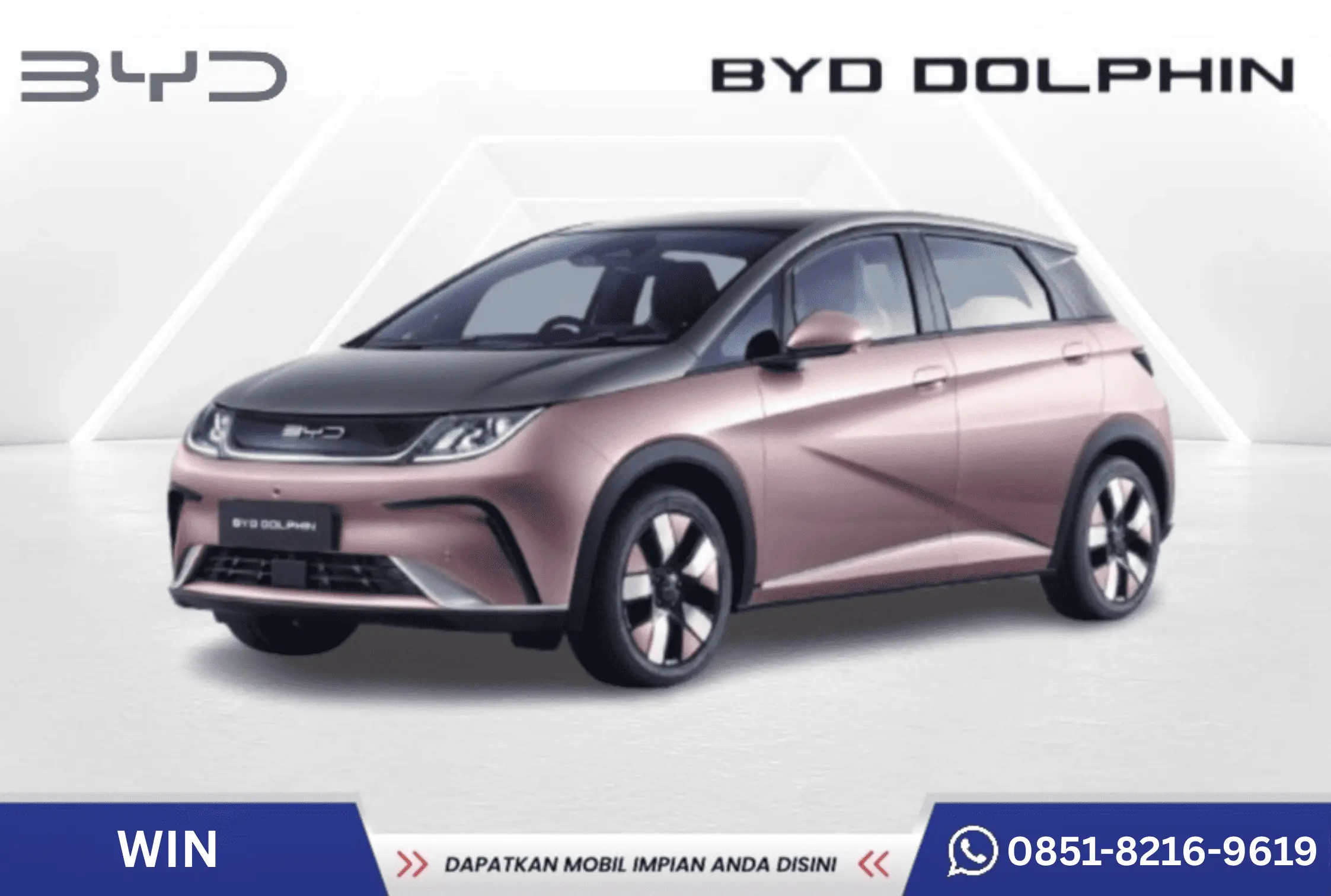 BYD Dolphin